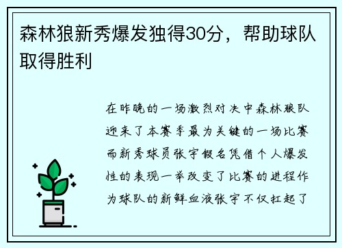 森林狼新秀爆发独得30分，帮助球队取得胜利